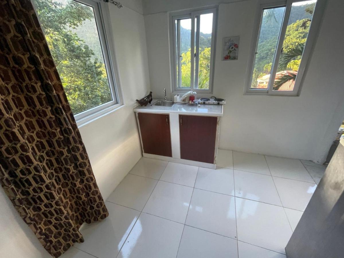 Zaboca Apartment Roseau Dış mekan fotoğraf