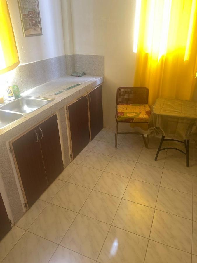 Zaboca Apartment Roseau Dış mekan fotoğraf