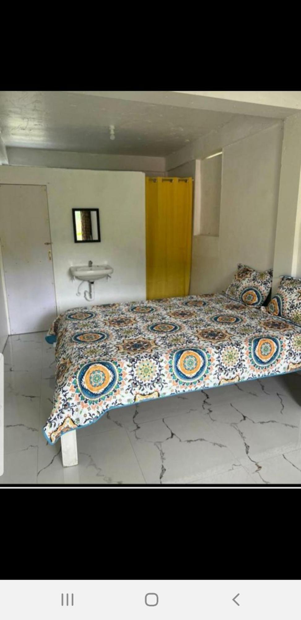 Zaboca Apartment Roseau Oda fotoğraf